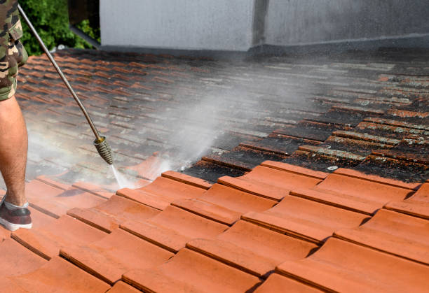 Best Roof Pressure Washing  in St Bernard, OH